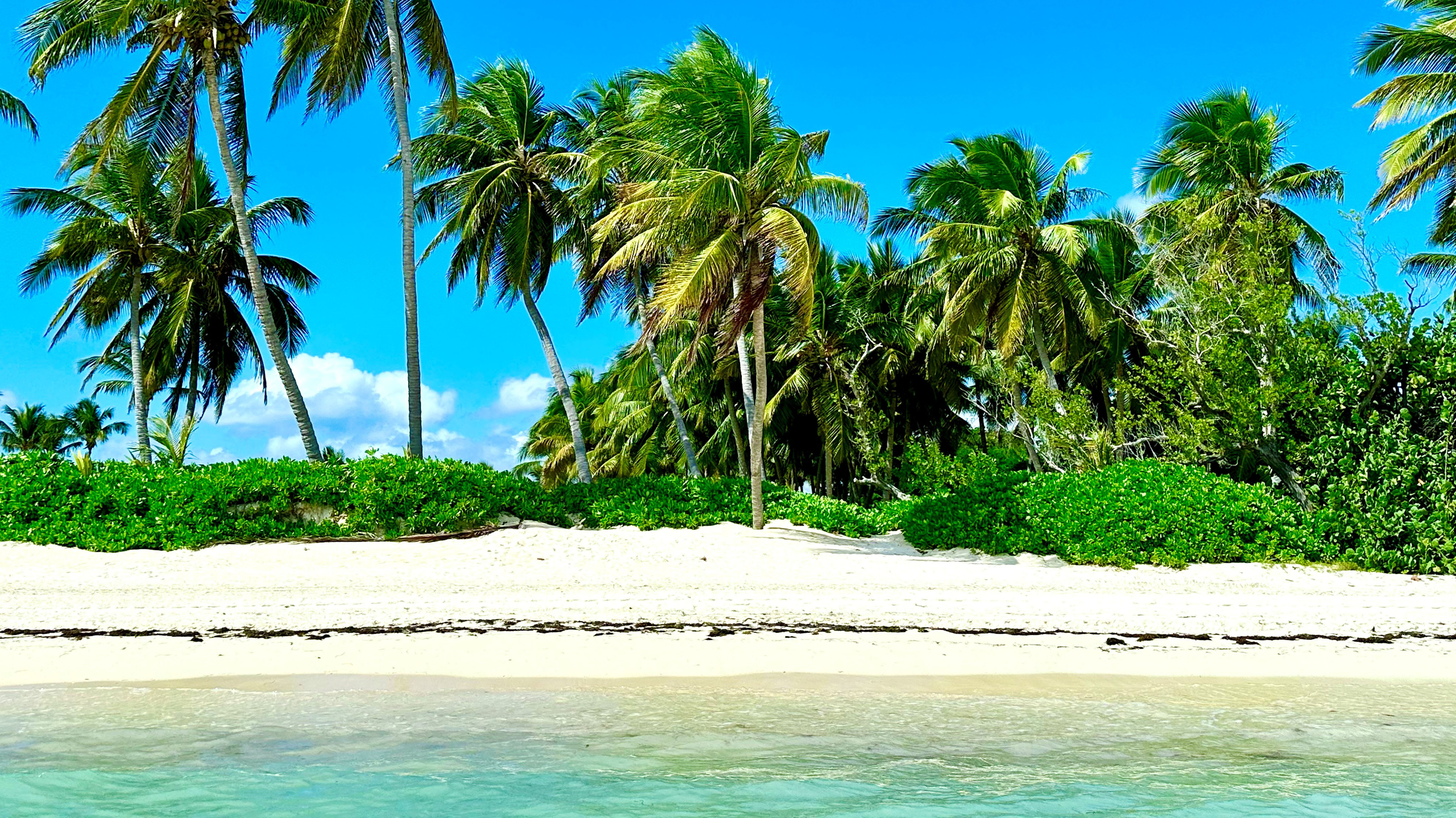 Luxury Hotel in Punta Cana. Turquoise waters of a white sandy beach in Punta Cana.